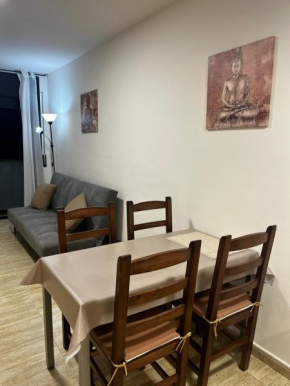 Central Apartment